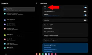Jak odzyskać hasło Wi-Fi z telefonu? Android, iPhone i router