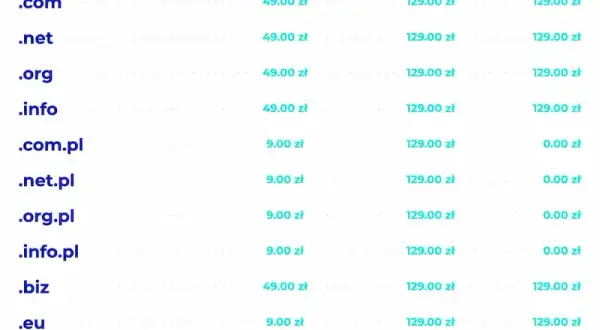 Domena internetowa: Twój adres w sieci. Jak działa i ile kosztuje?